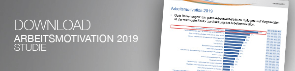 MPG: Arbeitsmotivation 2019 - Studie